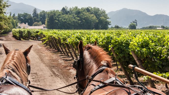 Taste the Flavors of Santa Cruz