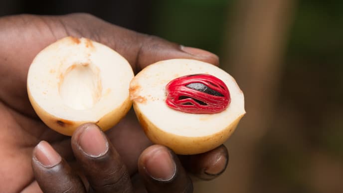 Spices - and where to find them