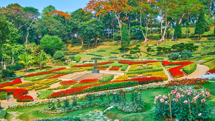 Gorgeous northern temples & tea plantations