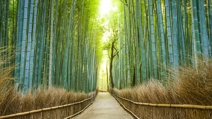 Visit Hakone