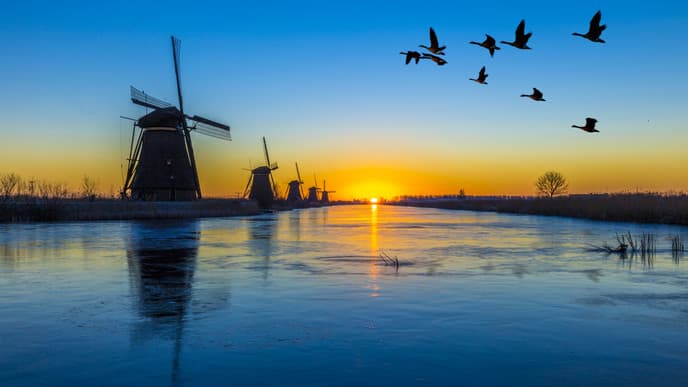 Kinderdijk and the windmills