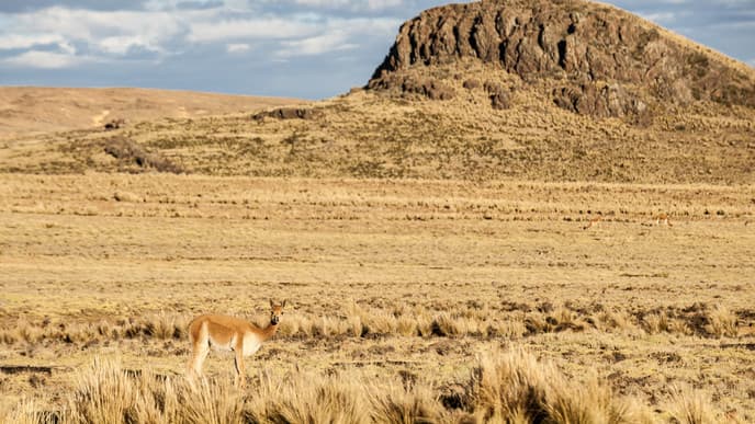 From the coast to the Andes