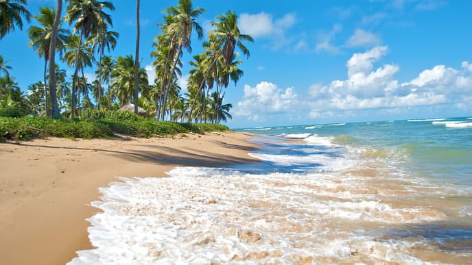 Vom Regenwald zum Strand