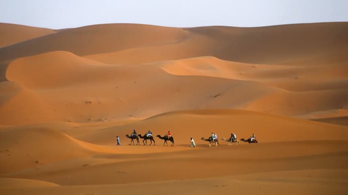 Witness the Panoramic View of Ziz Valley