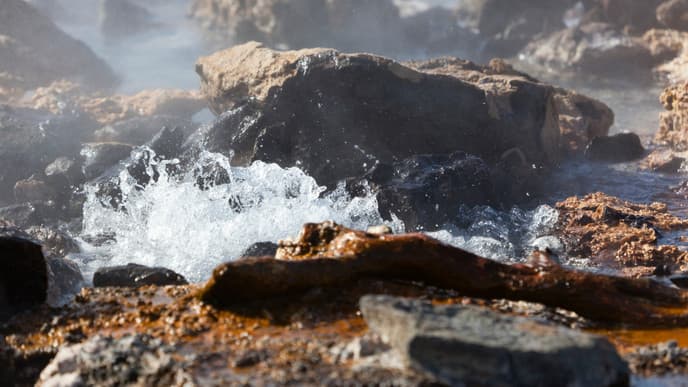 Explore Lake Bogoria