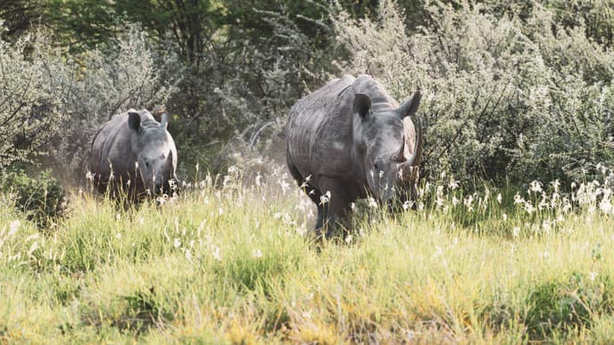 Etosha National Park adventure