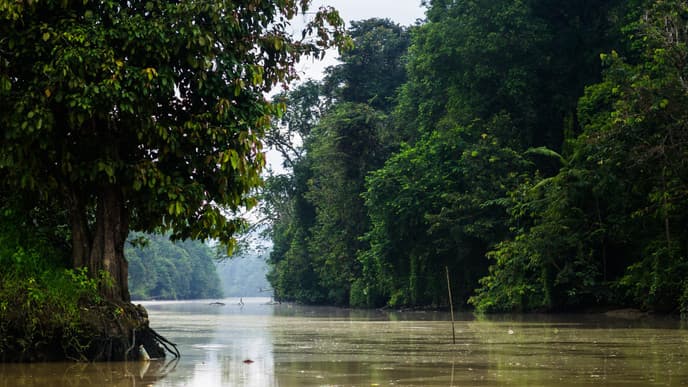 River Cruise in Borneo