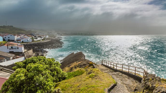 Immerse Yourself in the Island's Forests