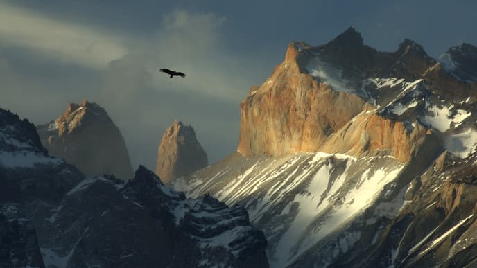 Marvel at the Majesty of Torres Del Paine