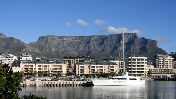 Marine Life & the Waterfront