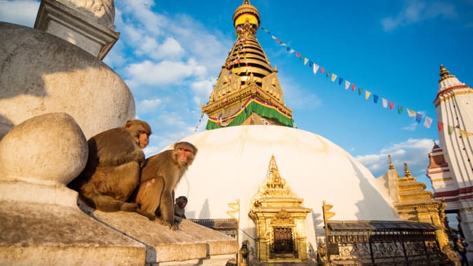 Explore Kathmandu!