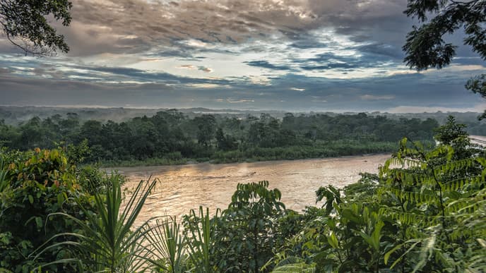 Journey to the Amazon