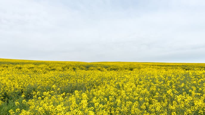 Welcher Wein darf es sein?