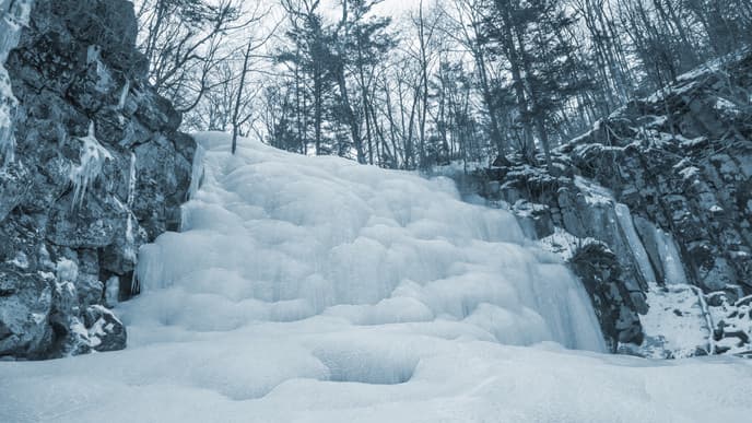 Head to the Posio Virgin Forest to Enjoy the Tranquility and Pretty Snow-Covered Trees