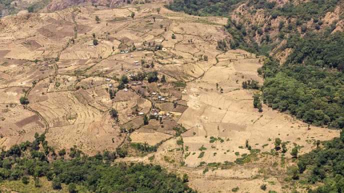 Magnificent mountain beauty