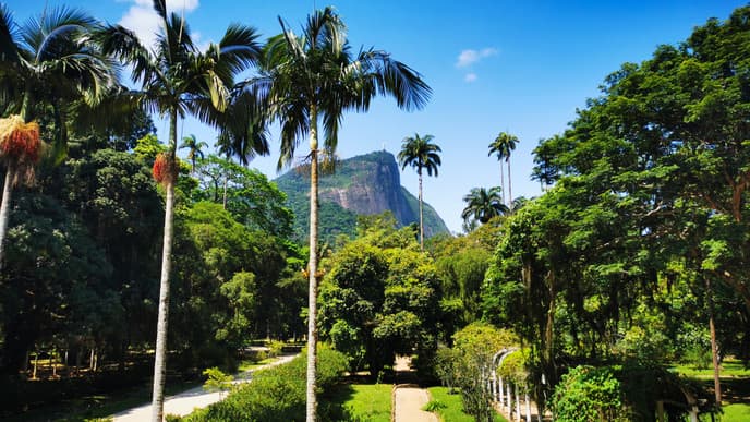 Schnuppertour in den Regenwald
