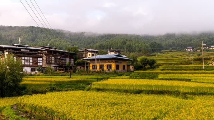 Drive to Paro