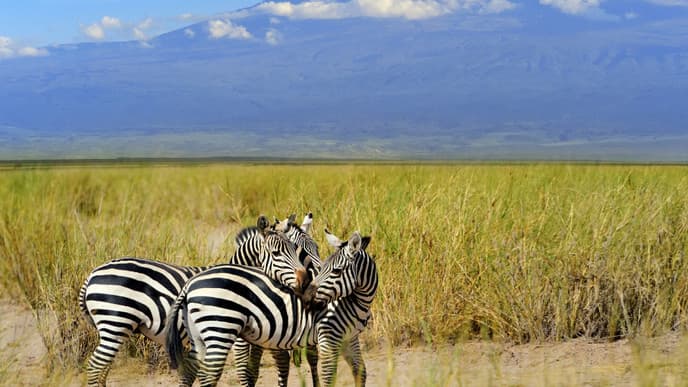 Mountain Zebra National Park