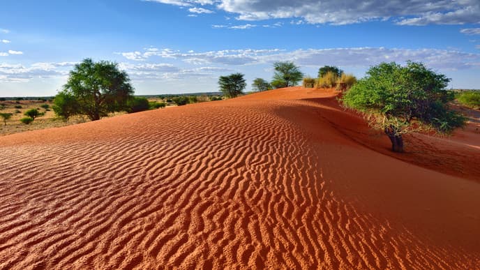 Wander Into the Kalahari Desert