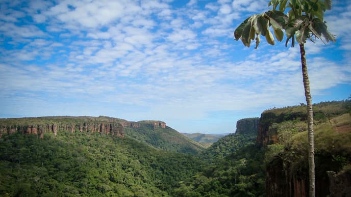 Welcome to Chapada