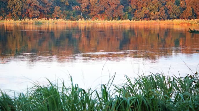 Der größte Meteorit der Welt