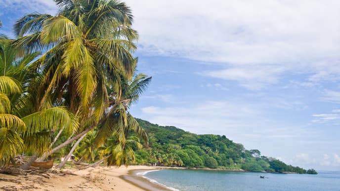 Visit A Spice Plantation