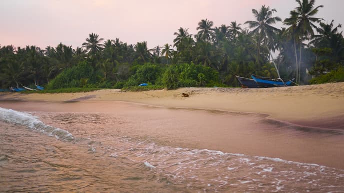 Rainforest trekking & beach relaxation