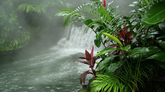 A birdwatcher’s paradise