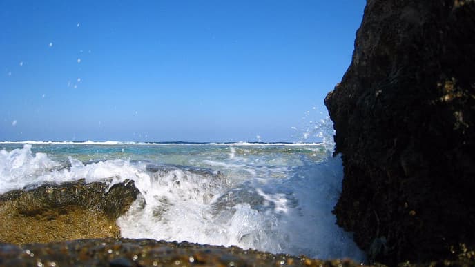 Treasures of the Red Sea