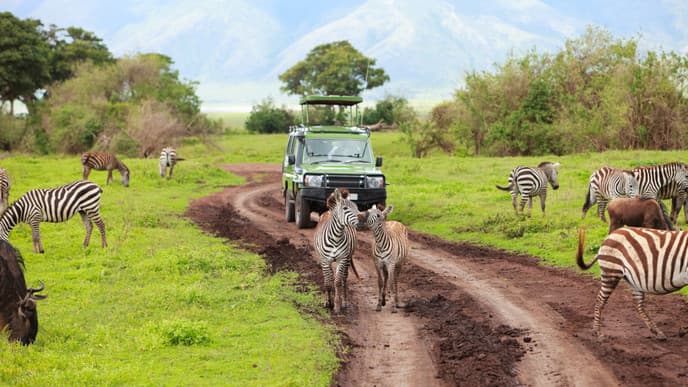 Highlights des Kruger Nationalparks