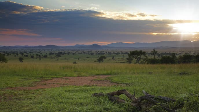 Hike Mount Morungule