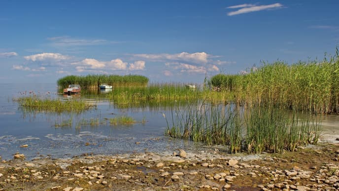 Along the Lake Peipus