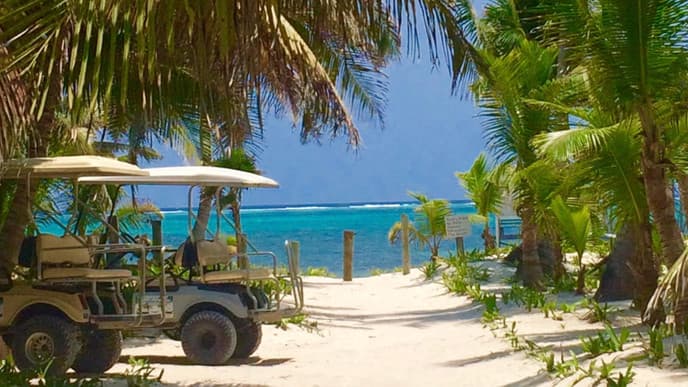 Tropical island paradise