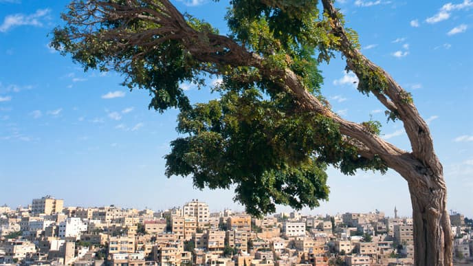 Welcome to Amman!