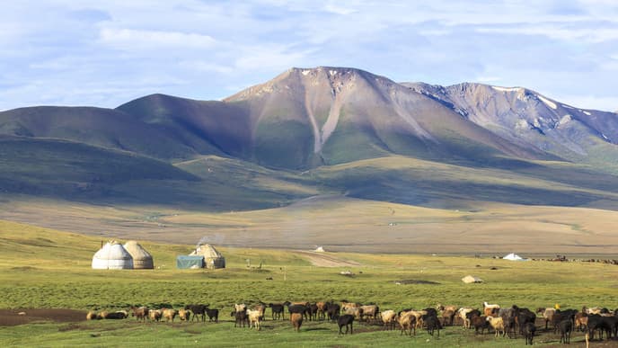 Genießen Sie die sauberste Luft
