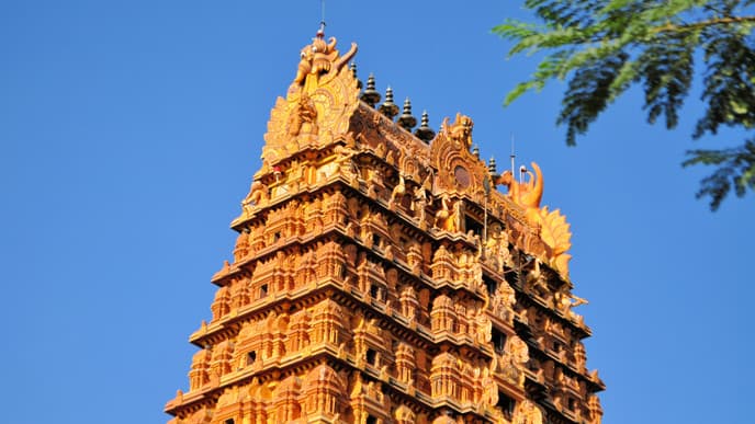 Die Halbinsel der Tamilen