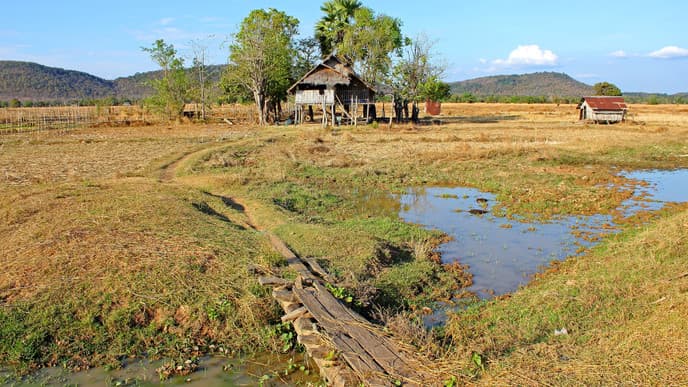 Elefanten am heiligen Berg von Phou Asa