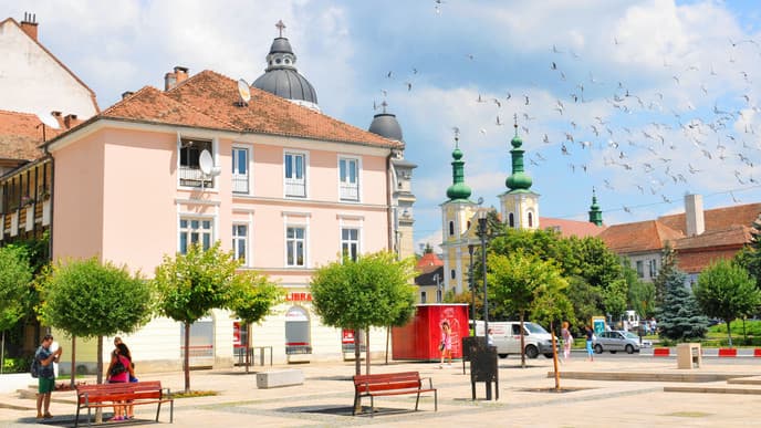 The Ancient City Targu Mures