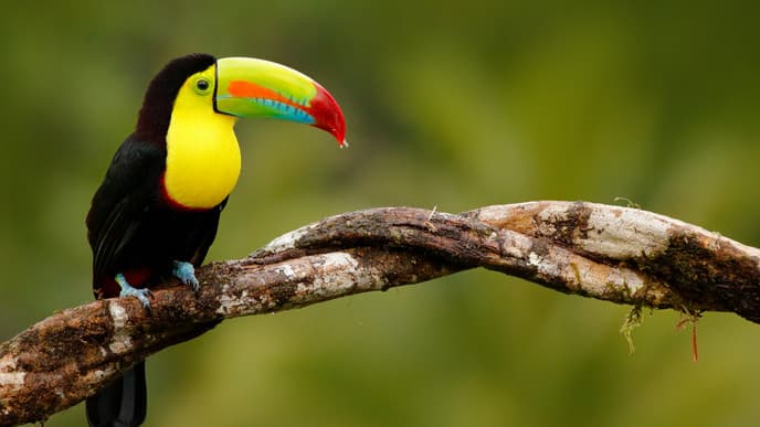 Willkommen in Panama - rein ins Abenteuer!