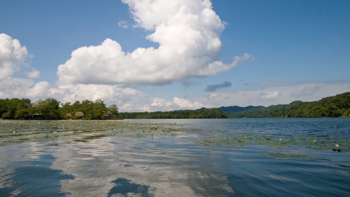 Go Kayaking or Sunset Gazing on Rio Dulce