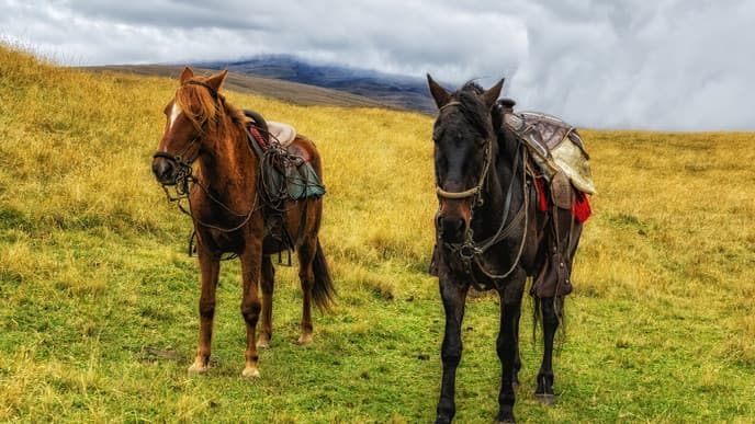 Horseback trek of a lifetime