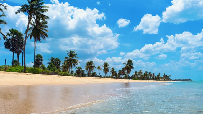 The serene Indian Ocean