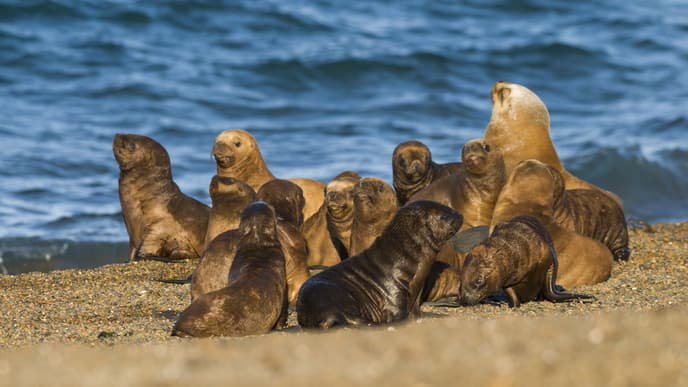 Rückkehr nach Buenos Aires