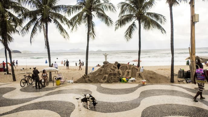 Visit the Highlights of Rio