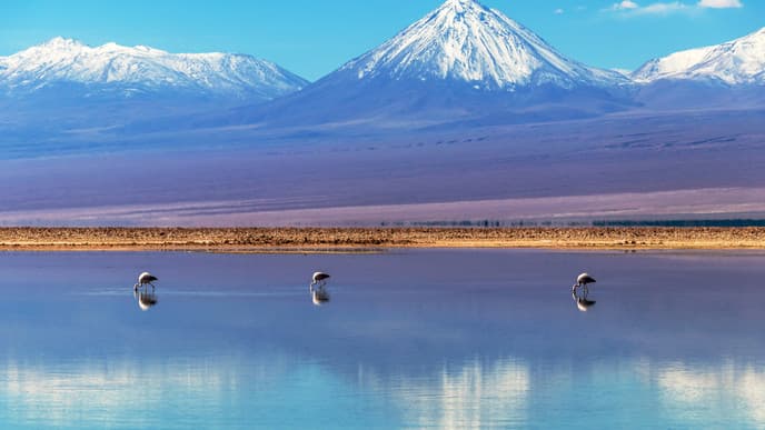Travel to Atacama Desert
