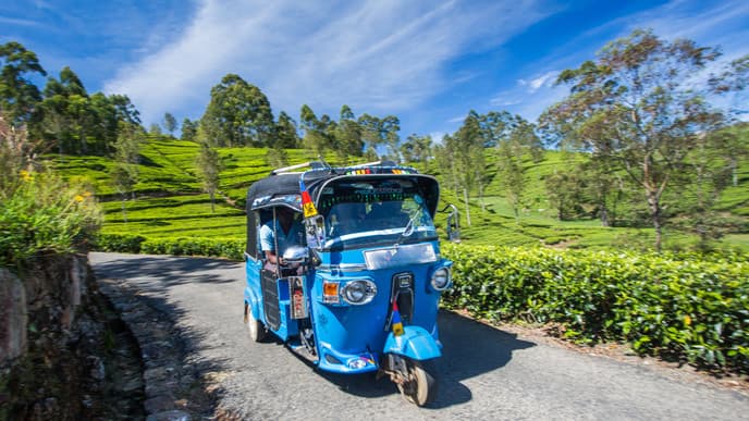Tuk-Tuk-Fahrt nach Lipton Seat