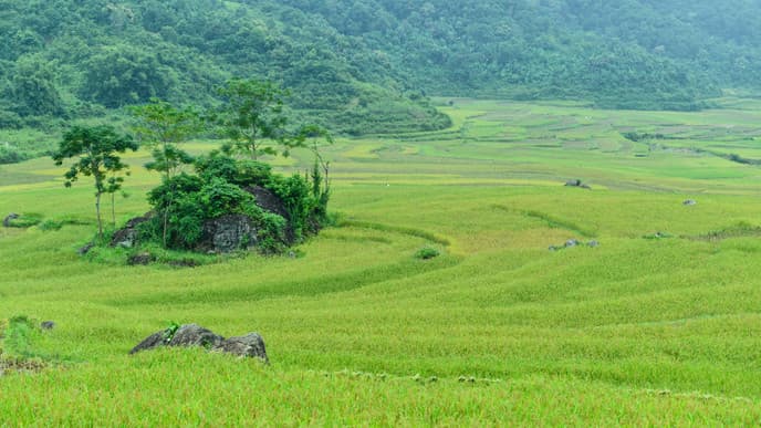 Back to the city life of Hanoi