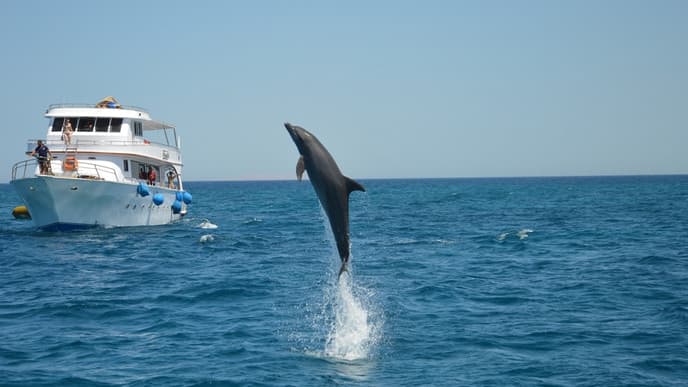 El Gouna resort stay