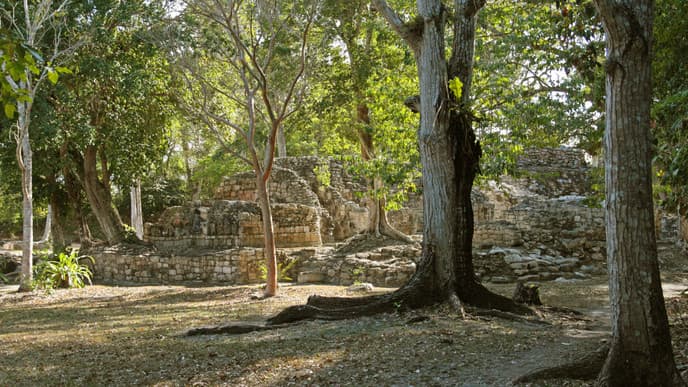 Unique Mayan architecture & jungle wildlife