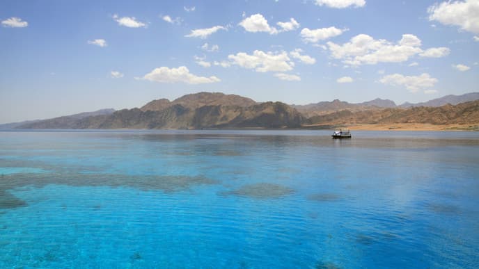 Schnorcheln/Tauchen im Roten Meer